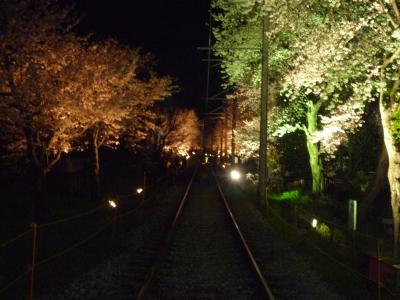 桜のトンネル